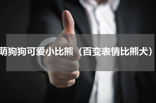 萌狗狗可爱小比熊（百变表情比熊犬）