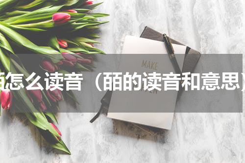 皕怎么读音（皕的读音和意思）