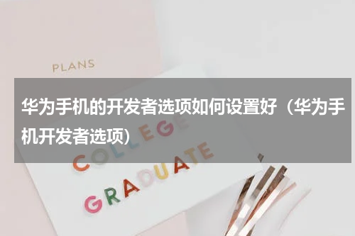 华为手机的开发者选项如何设置好（华为手机开发者选项）