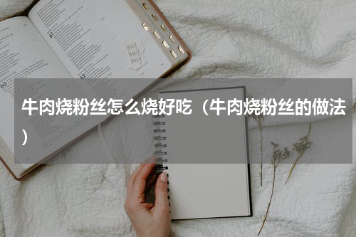 牛肉烧粉丝怎么烧好吃（牛肉烧粉丝的做法）