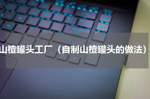 山楂罐头工厂（自制山楂罐头的做法）
