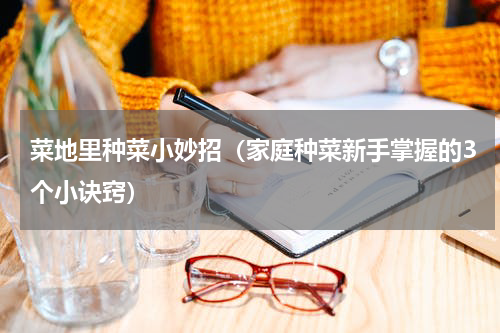 菜地里种菜小妙招（家庭种菜新手掌握的3个小诀窍）