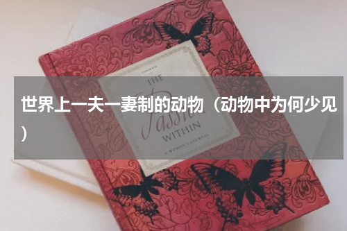 世界上一夫一妻制的动物（动物中为何少见）