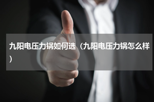 九阳电压力锅如何选（九阳电压力锅怎么样）