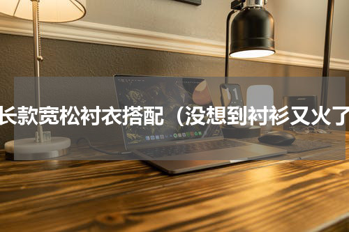 中长款宽松衬衣搭配（没想到衬衫又火了）