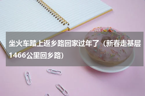 坐火车踏上返乡路回家过年了（新春走基层1466公里回乡路）