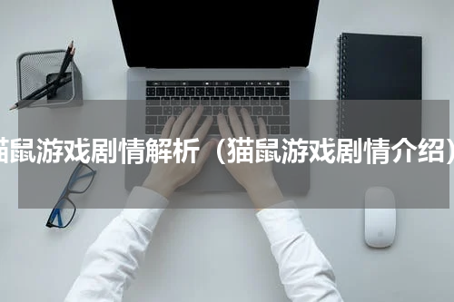 猫鼠游戏剧情解析（猫鼠游戏剧情介绍）