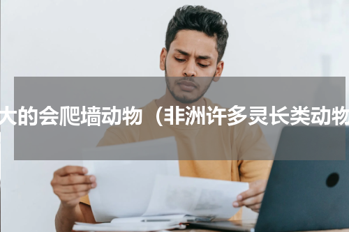 最大的会爬墙动物（非洲许多灵长类动物）
