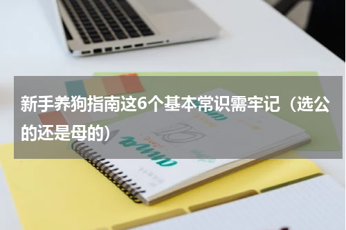 新手养狗指南这6个基本常识需牢记（选公的还是母的）