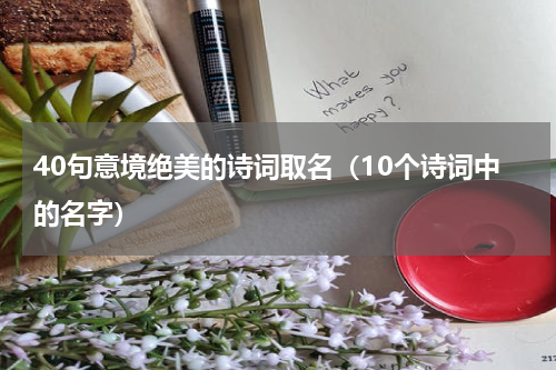 40句意境绝美的诗词取名（10个诗词中的名字）