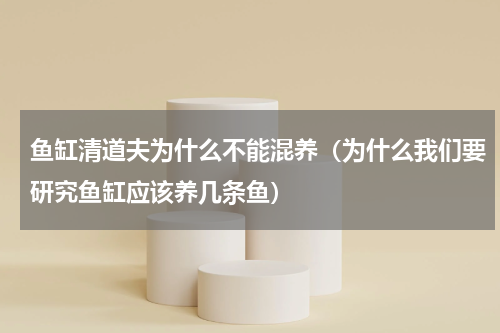 鱼缸清道夫为什么不能混养（为什么我们要研究鱼缸应该养几条鱼）