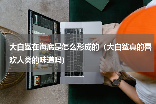 大白鲨在海底是怎么形成的（大白鲨真的喜欢人类的味道吗）