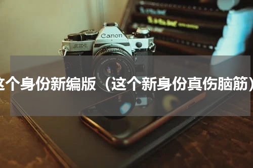 这个身份新编版（这个新身份真伤脑筋）