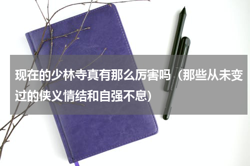 现在的少林寺真有那么厉害吗（那些从未变过的侠义情结和自强不息）