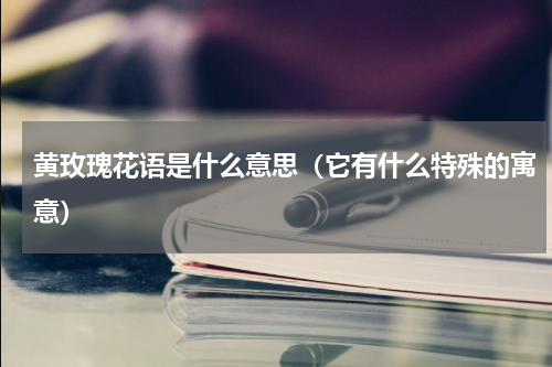 黄玫瑰花语是什么意思（它有什么特殊的寓意）