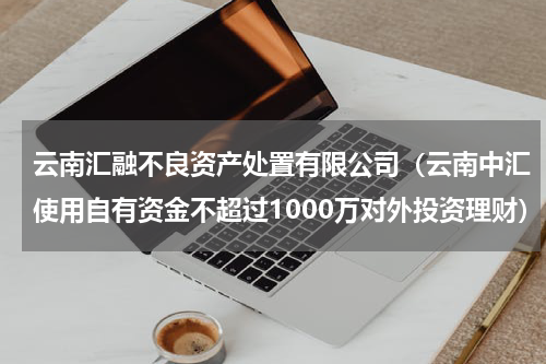 云南汇融不良资产处置有限公司（云南中汇使用自有资金不超过1000万对外投资理财）