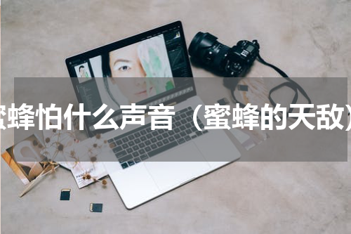 蜜蜂怕什么声音（蜜蜂的天敌）