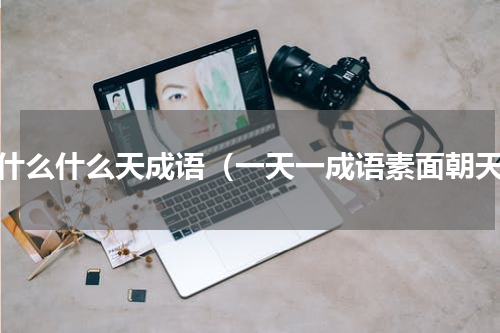 抱什么什么天成语（一天一成语素面朝天）