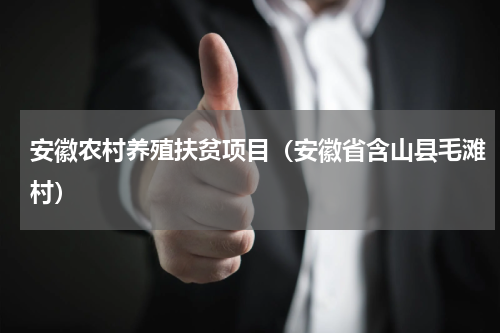 安徽农村养殖扶贫项目（安徽省含山县毛滩村）