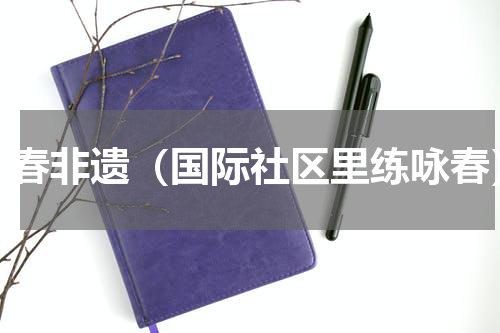 咏春非遗（国际社区里练咏春）