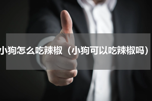 小狗怎么吃辣椒（小狗可以吃辣椒吗）