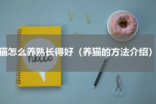 猫怎么养熟长得好（养猫的方法介绍）