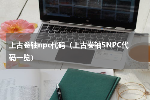 上古卷轴npc代码（上古卷轴5NPC代码一览）
