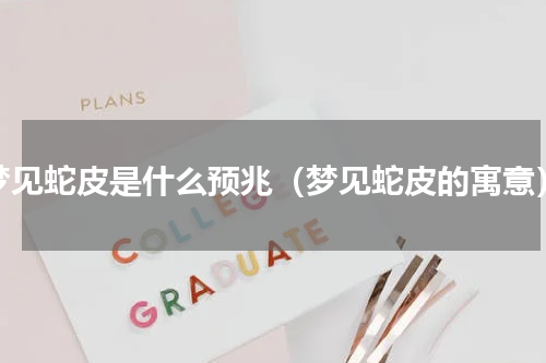 梦见蛇皮是什么预兆（梦见蛇皮的寓意）