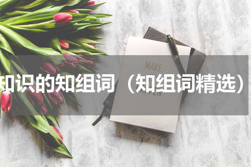 知识的知组词（知组词精选）