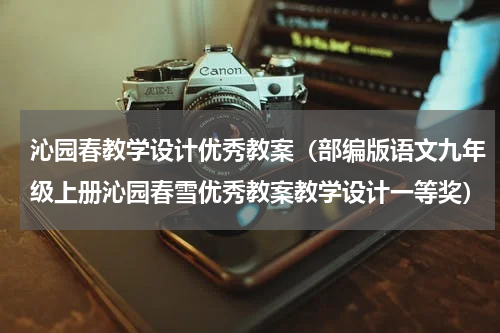 沁园春教学设计优秀教案（部编版语文九年级上册沁园春雪优秀教案教学设计一等奖）