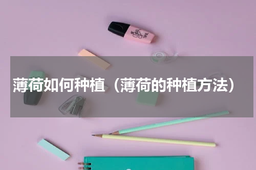薄荷如何种植（薄荷的种植方法）