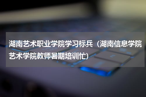 湖南艺术职业学院学习标兵（湖南信息学院艺术学院教师暑期培训忙）