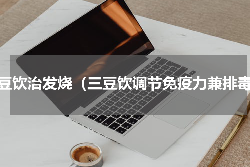 三豆饮治发烧（三豆饮调节免疫力兼排毒）