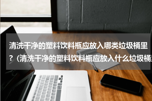 清洗干净的塑料饮料瓶应放入哪类垃圾桶里?（清洗干净的塑料饮料瓶应放入什么垃圾桶里）