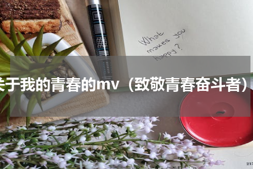 关于我的青春的mv（致敬青春奋斗者）