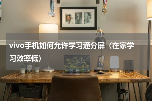 vivo手机如何允许学习通分屏（在家学习效率低）