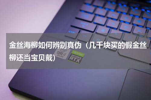 金丝海柳如何辨别真伪（几千块买的假金丝柳还当宝贝戴）