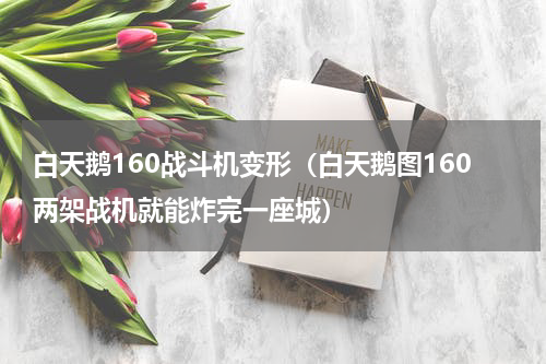 白天鹅160战斗机变形（白天鹅图160两架战机就能炸完一座城）
