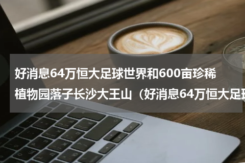 好消息64万恒大足球世界和600亩珍稀植物园落子长沙大王山（好消息64万恒大足球世界和600亩珍稀植物园落子长沙大王山）