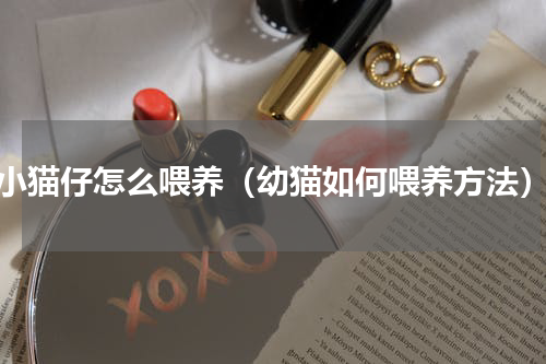 小猫仔怎么喂养（幼猫如何喂养方法）