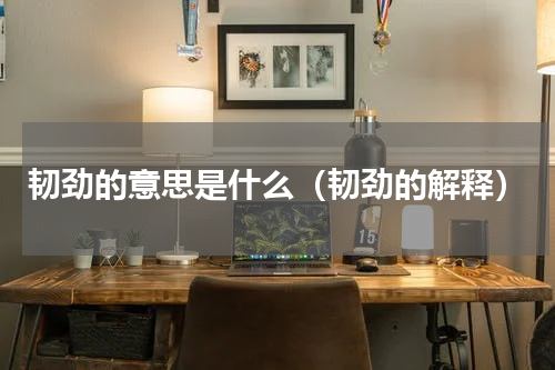 韧劲的意思是什么（韧劲的解释）