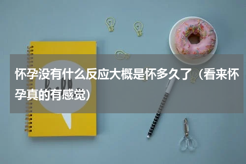 怀孕没有什么反应大概是怀多久了（看来怀孕真的有感觉）