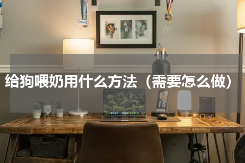 给狗喂奶用什么方法（需要怎么做）