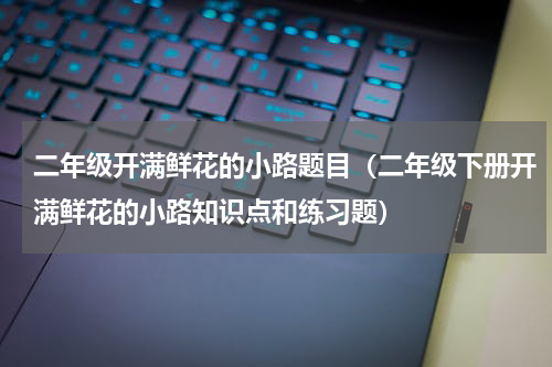 二年级开满鲜花的小路题目（二年级下册开满鲜花的小路知识点和练习题）