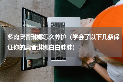 多肉奥普琳娜怎么养护（学会了以下几条保证你的奥普琳娜白白胖胖）