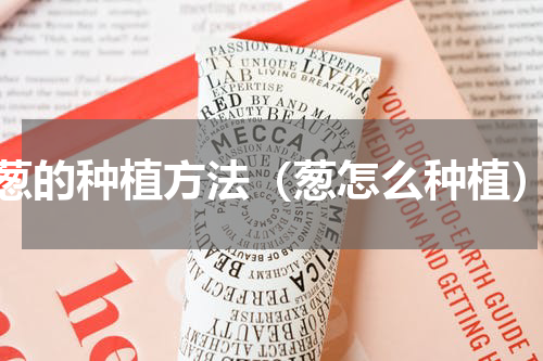 葱的种植方法（葱怎么种植）