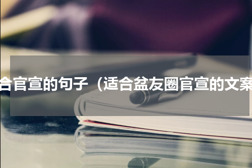 适合官宣的句子（适合盆友圈官宣的文案）