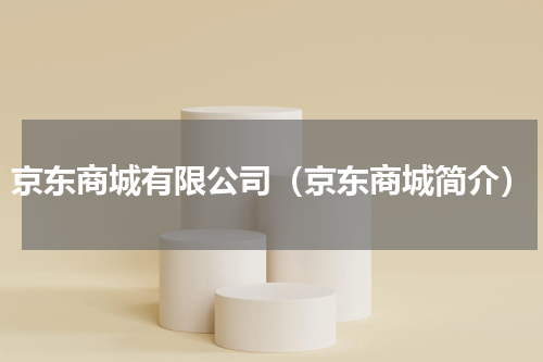 京东商城有限公司（京东商城简介）