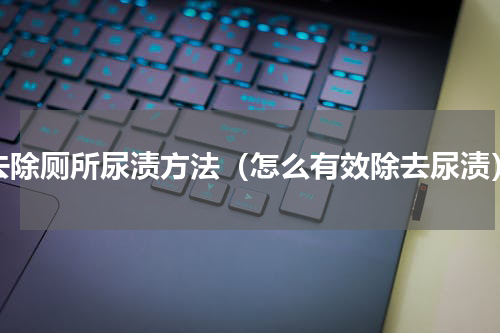 去除厕所尿渍方法（怎么有效除去尿渍）