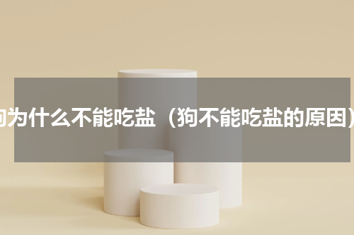 狗为什么不能吃盐（狗不能吃盐的原因）